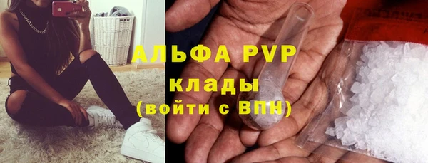 мяу мяу мука Абаза