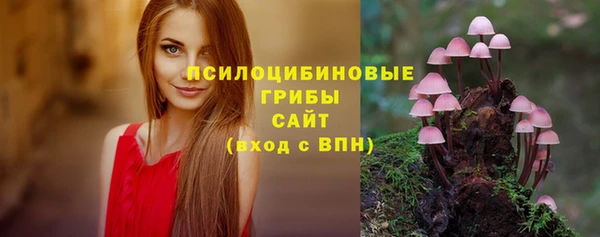 шишки Абдулино