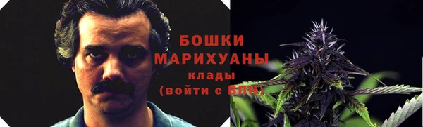 шишки Абдулино