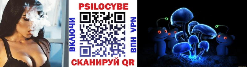 где купить наркотик Моршанск Псилоцибиновые грибы Magic Shrooms
